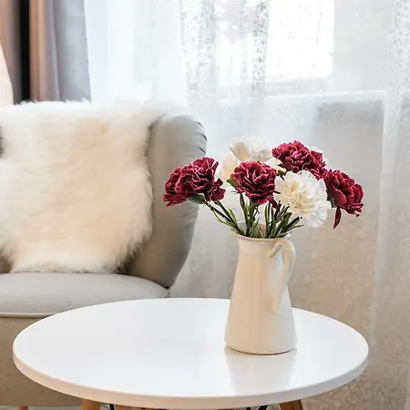 Appartement City Freiburg im Breisgau